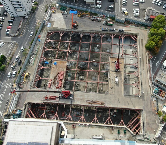 2023年11月16日撮影